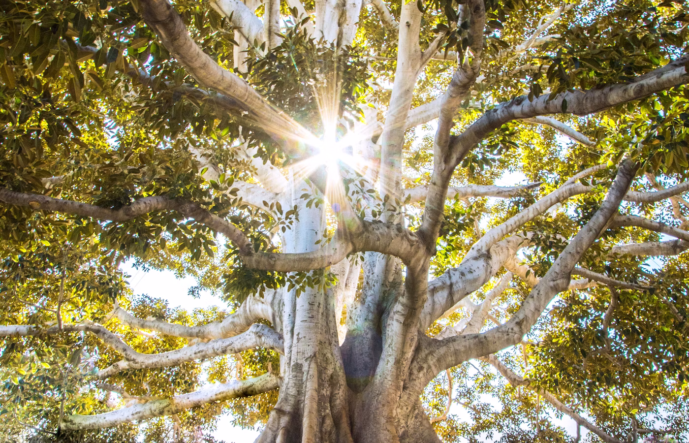 Эмоциональное истощение для руководителя